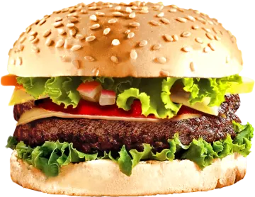 a hamburger on a white background