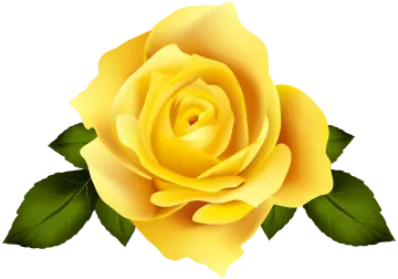 a yellow rose with green leaves