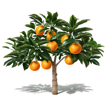 a tree with oranges growing on it