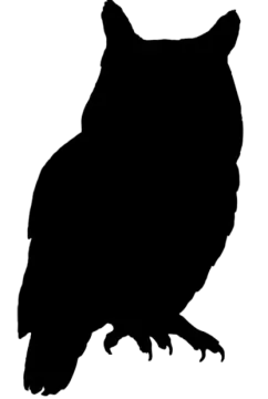 an owl silhouetted on a white background