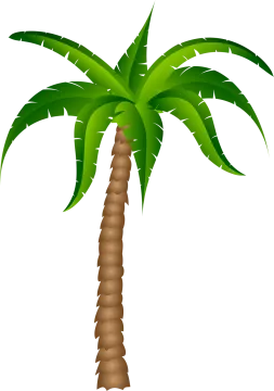 a palm tree clipart