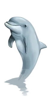 a dolphin with its mouth open in the air