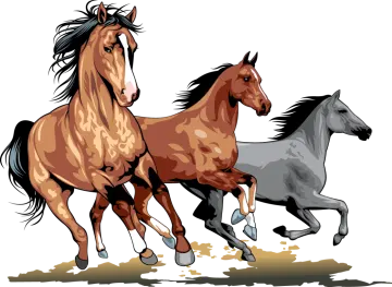 three horses running in a row