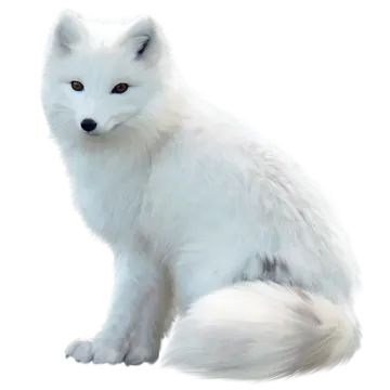 a painting of a white fox sitting down