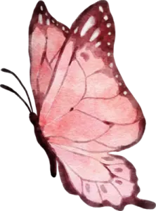a watercolor painting of a pink butterfly