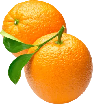 two oranges with green leaves on them