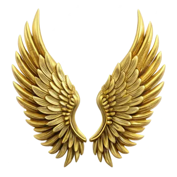 a pair of gold wings