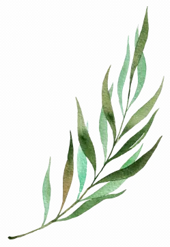 a watercolor painting of green leaves