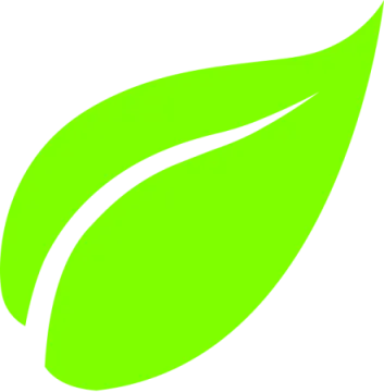 a green leaf