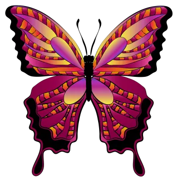a purple butterfly with orange and yellow wings