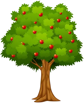 a tree with apples on it
