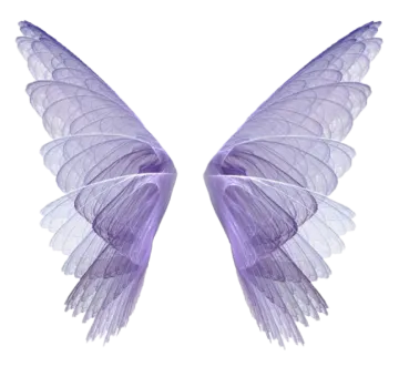 two purple wings on a white background