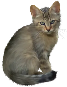 a drawing of a kitten sitting down