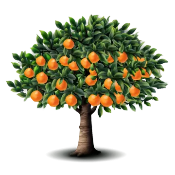 a tree with oranges on it