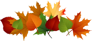 a bunch of colorful autumn leaves