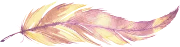 a drawing of a feather on a white background