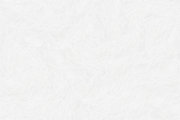a white background with a rough texture