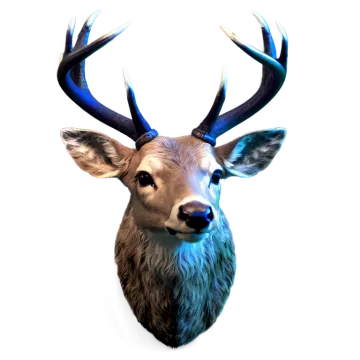 a close up of a deer head on a white background