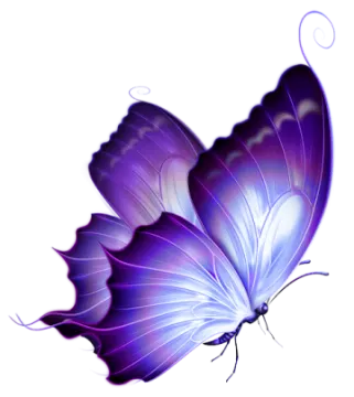 a purple butterfly flying in the air