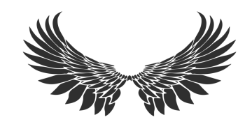 a black and white image of an angel wing