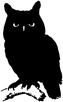 a silhouette of an owl sitting on a branch