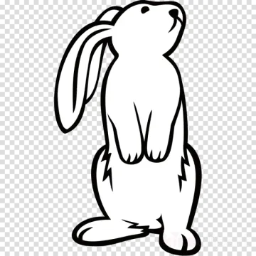 a black and white rabbit sitting on its hind