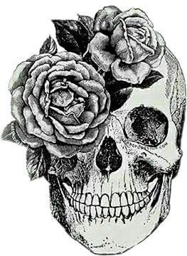 a drawing of a skull with roses on it