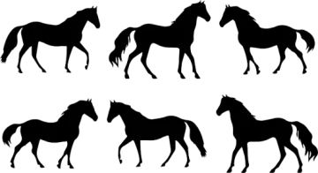 horse silhouettes on white background