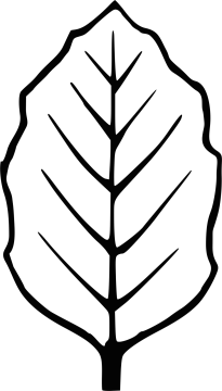 a black and white image of a leaf