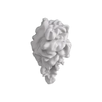 a 3d model of a white flower