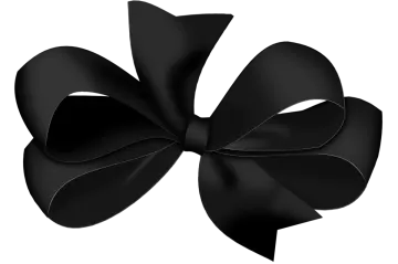 a black bow on a white background