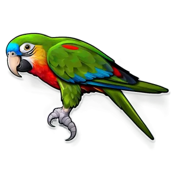 a colorful parrot on a white background