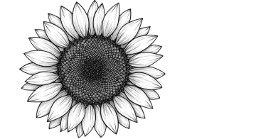 a black and white drawing of a sunflower