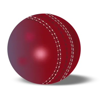 a cricket ball on a white background
