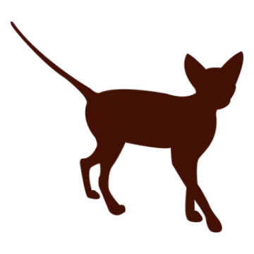 a brown cat silhouetted on a white background