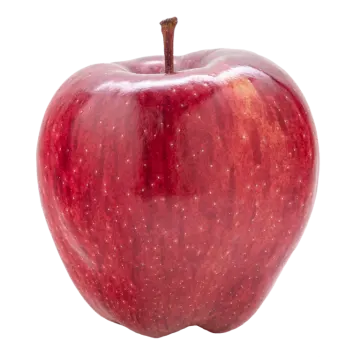 a red apple on a white background
