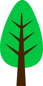 a green tree with brown branches