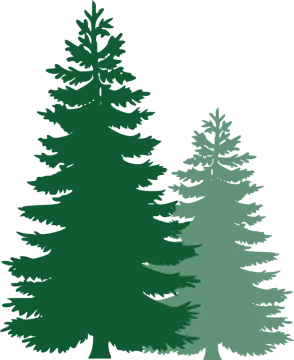 three evergreen trees clipart