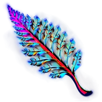 a colorful feather on a white background