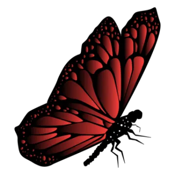 a red butterfly on a white background