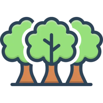 a row of trees