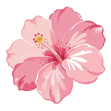 a pink flower on white background