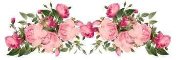 a bouquet of pink flowers on a white background