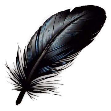 a black feather on a white background