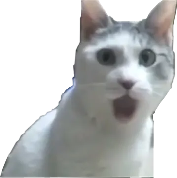 a cat with its tongue sticking out
