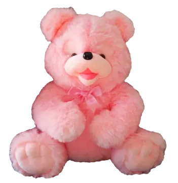 a pink teddy bear sitting on a white background