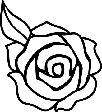 a black and white rose flower