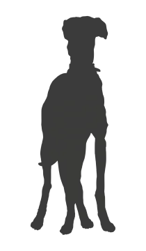 a black and white silhouette of a dog