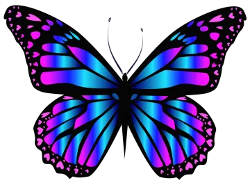 a purple butterfly with blue and pink wings