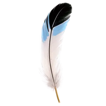 a blue and white feather on a white background